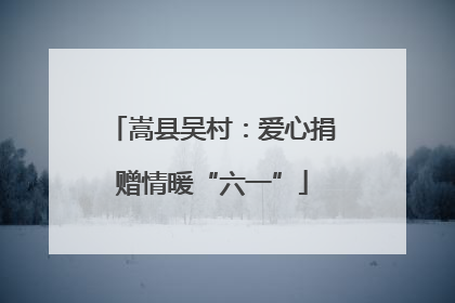 嵩县吴村：爱心捐赠情暖“六一”