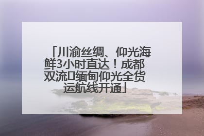 川渝丝绸、仰光海鲜3小时直达！成都双流⇌缅甸仰光全货运航线开通