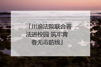 川渝法院联合普法进校园 筑牢青春无毒防线