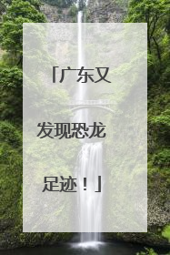 广东又发现恐龙足迹！