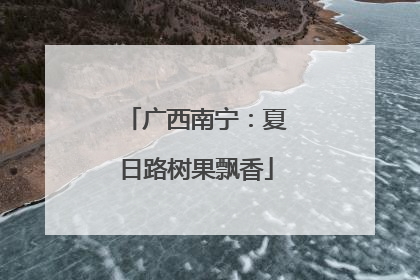 广西南宁：夏日路树果飘香
