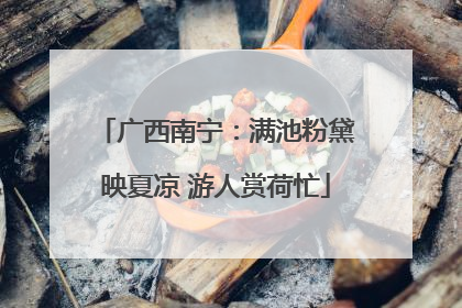 广西南宁：满池粉黛映夏凉 游人赏荷忙