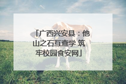 广西兴安县：他山之石互查学 筑牢校园食安网