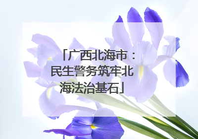 广西北海市：民生警务筑牢北海法治基石