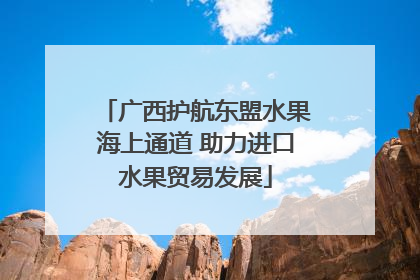 广西护航东盟水果海上通道 助力进口水果贸易发展