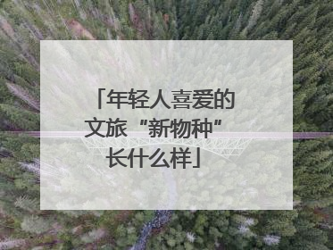 年轻人喜爱的文旅“新物种”长什么样