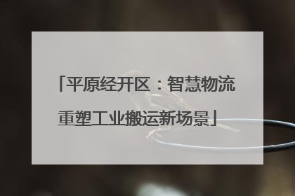 平原经开区：智慧物流重塑工业搬运新场景
