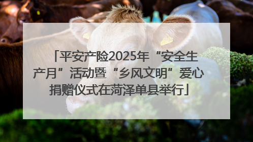 平安产险2025年“安全生产月”活动暨“乡风文明”爱心捐赠仪式在菏泽单县举行