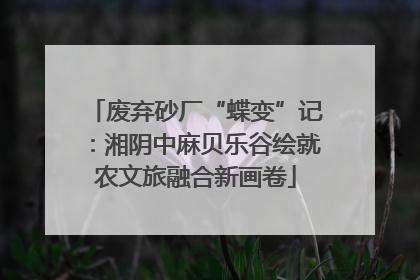 废弃砂厂“蝶变”记：湘阴中麻贝乐谷绘就农文旅融合新画卷