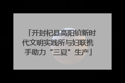 开封杞县高阳镇新时代文明实践所与妇联携手助力“三夏”生产