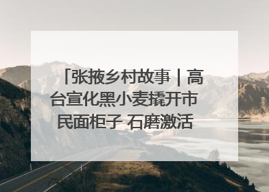 张掖乡村故事｜高台宣化黑小麦撬开市民面柜子 石磨激活村集体钱匣子