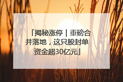揭秘涨停｜重磅合并落地，这只股封单资金超30亿元