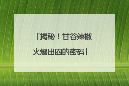 揭秘！甘谷辣椒火爆出圈的密码