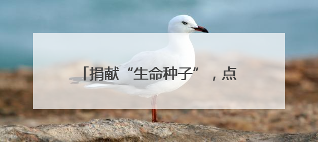 捐献“生命种子”，点燃“重生希望”！河南工业职业技术学院校友为患者捐献造血干细胞