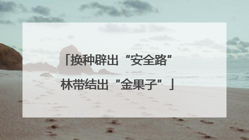 换种辟出“安全路” 林带结出“金果子”