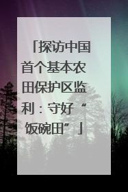 探访中国首个基本农田保护区监利：守好“饭碗田”