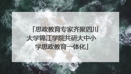 思政教育专家齐聚四川大学锦江学院共研大中小学思政教育一体化