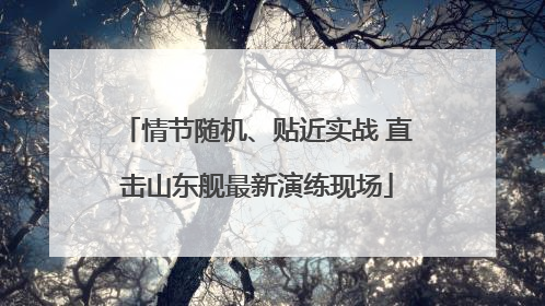 情节随机、贴近实战 直击山东舰最新演练现场