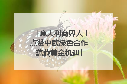 意大利商界人士点赞中欧绿色合作蕴藏黄金机遇