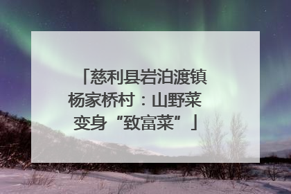 慈利县岩泊渡镇杨家桥村：山野菜变身“致富菜”