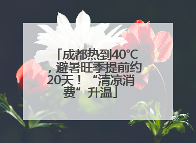 成都热到40℃，避暑旺季提前约20天！“清凉消费”升温