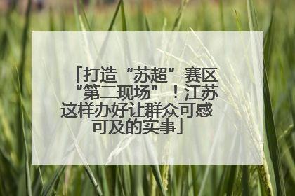 打造“苏超”赛区“第二现场”！江苏这样办好让群众可感可及的实事