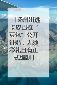 扬州出逃卡皮巴拉“豆包”公开征婚：无须彩礼且有正式编制