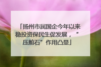 扬州市属国企今年以来稳投资保民生促发展，“压舱石”作用凸显