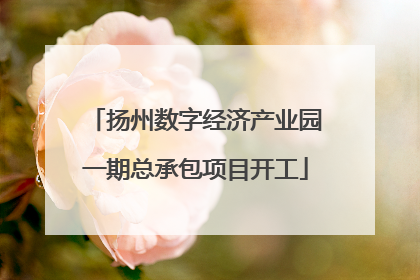 扬州数字经济产业园一期总承包项目开工