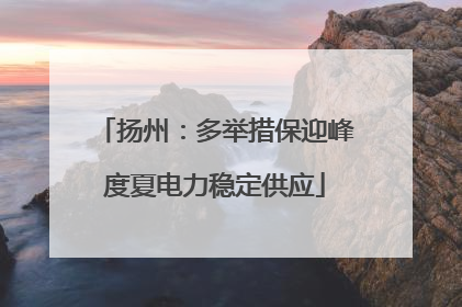 扬州：多举措保迎峰度夏电力稳定供应
