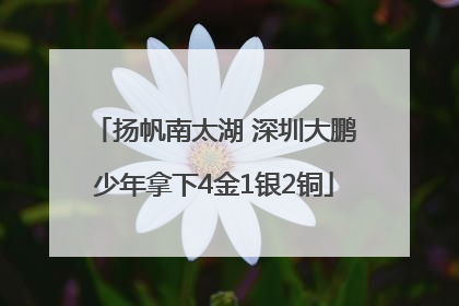 扬帆南太湖 深圳大鹏少年拿下4金1银2铜
