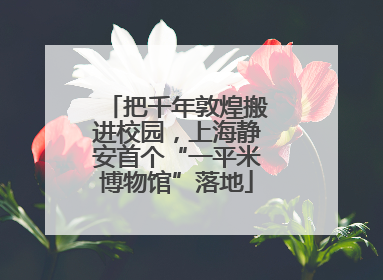 把千年敦煌搬进校园，上海静安首个“一平米博物馆”落地