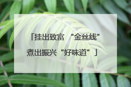 挂出致富 “金丝线” 煮出振兴“好味道”