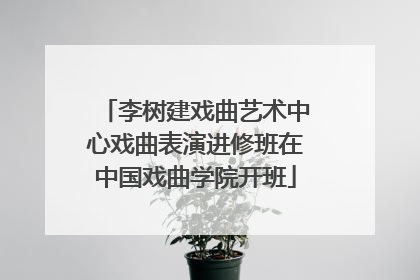 李树建戏曲艺术中心戏曲表演进修班在中国戏曲学院开班