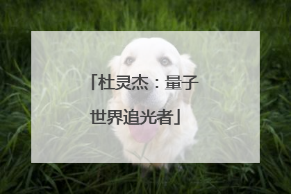 杜灵杰：量子世界追光者