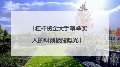 杠杆资金大手笔净买入的科创板股曝光