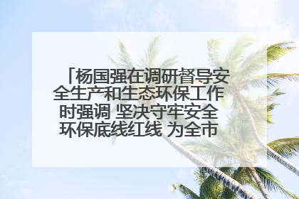 杨国强在调研督导安全生产和生态环保工作时强调 坚决守牢安全环保底线红线 为全市经济社会高质量发展提供坚强保障