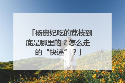 杨贵妃吃的荔枝到底是哪里的？怎么走的“快递”？