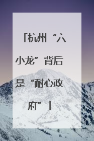 杭州“六小龙”背后是“耐心政府”