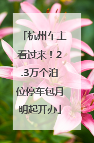 杭州车主看过来！2.3万个泊位停车包月明起开办