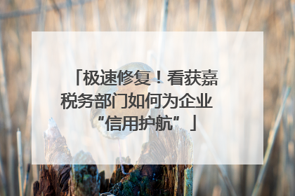 极速修复！看获嘉税务部门如何为企业“信用护航”