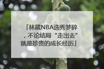 林葳NBA选秀梦碎，不论结局“走出去”就是珍贵的成长经历