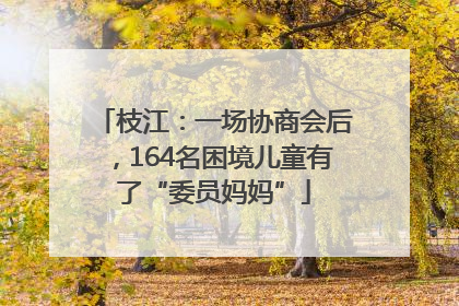 枝江：一场协商会后，164名困境儿童有了“委员妈妈”