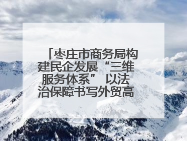 枣庄市商务局构建民企发展“三维服务体系” 以法治保障书写外贸高质量答卷