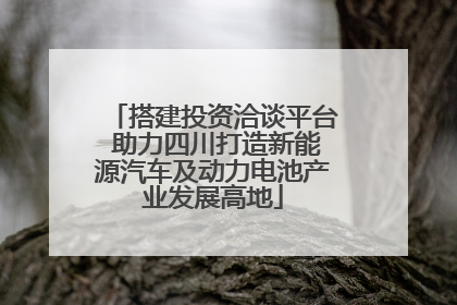 搭建投资洽谈平台 助力四川打造新能源汽车及动力电池产业发展高地