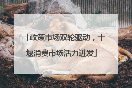 政策市场双轮驱动，十堰消费市场活力迸发