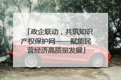 政企联动，共筑知识产权保护网——赋能民营经济高质量发展