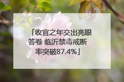 收官之年交出亮眼答卷 临沂禁毒戒断率突破87.4%