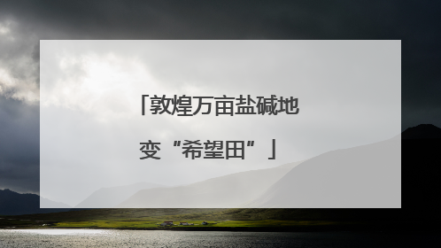 敦煌万亩盐碱地变“希望田”