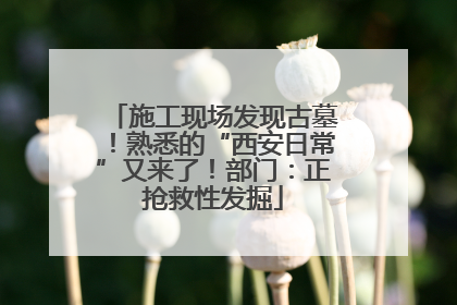 施工现场发现古墓！熟悉的“西安日常”又来了！部门：正抢救性发掘
